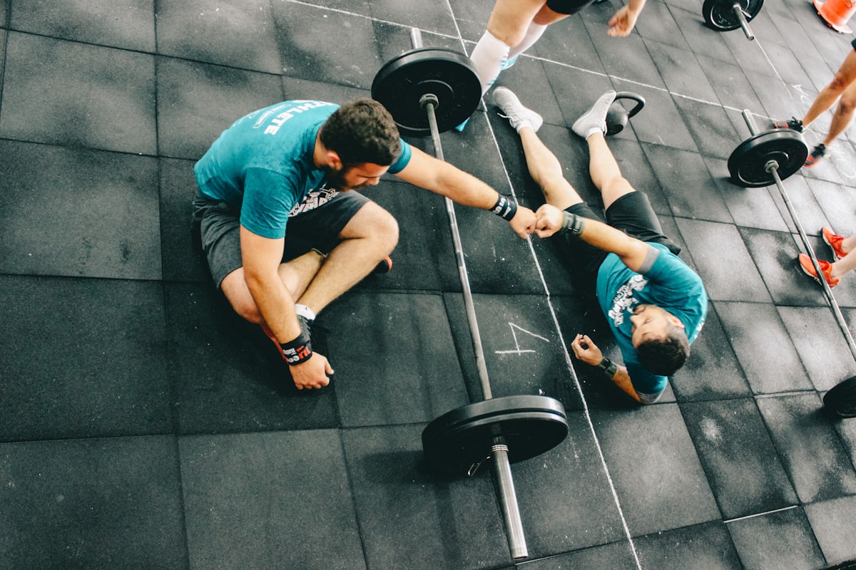 Professional training guidance